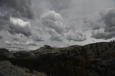 DSC_4399 (Large).JPG